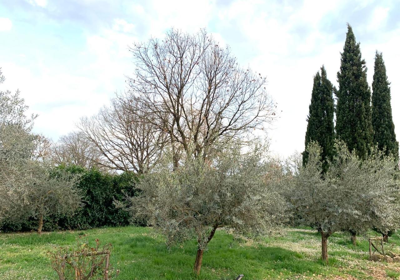 Oltre La Siepe Apartment Nepi Εξωτερικό φωτογραφία