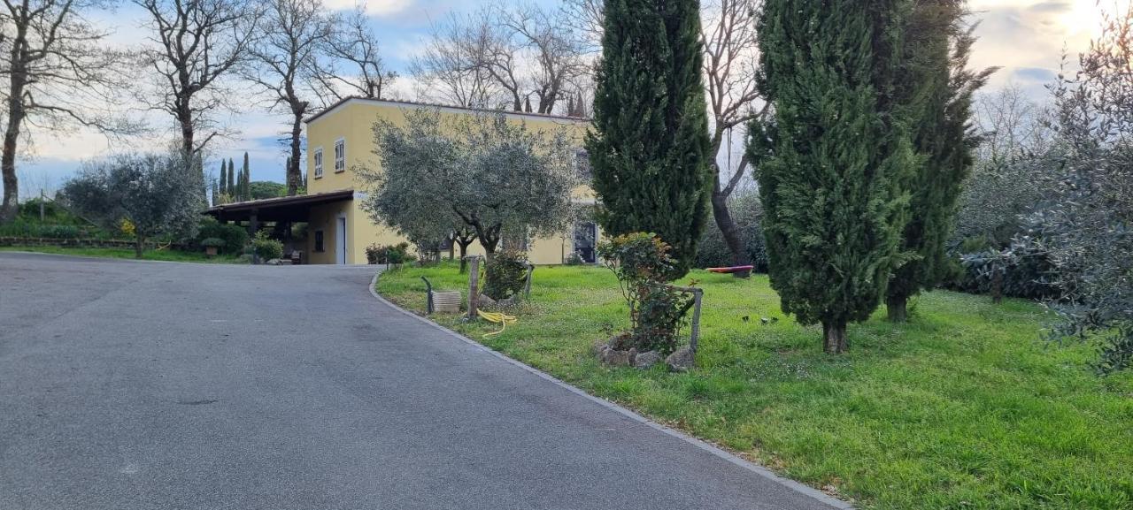 Oltre La Siepe Apartment Nepi Εξωτερικό φωτογραφία