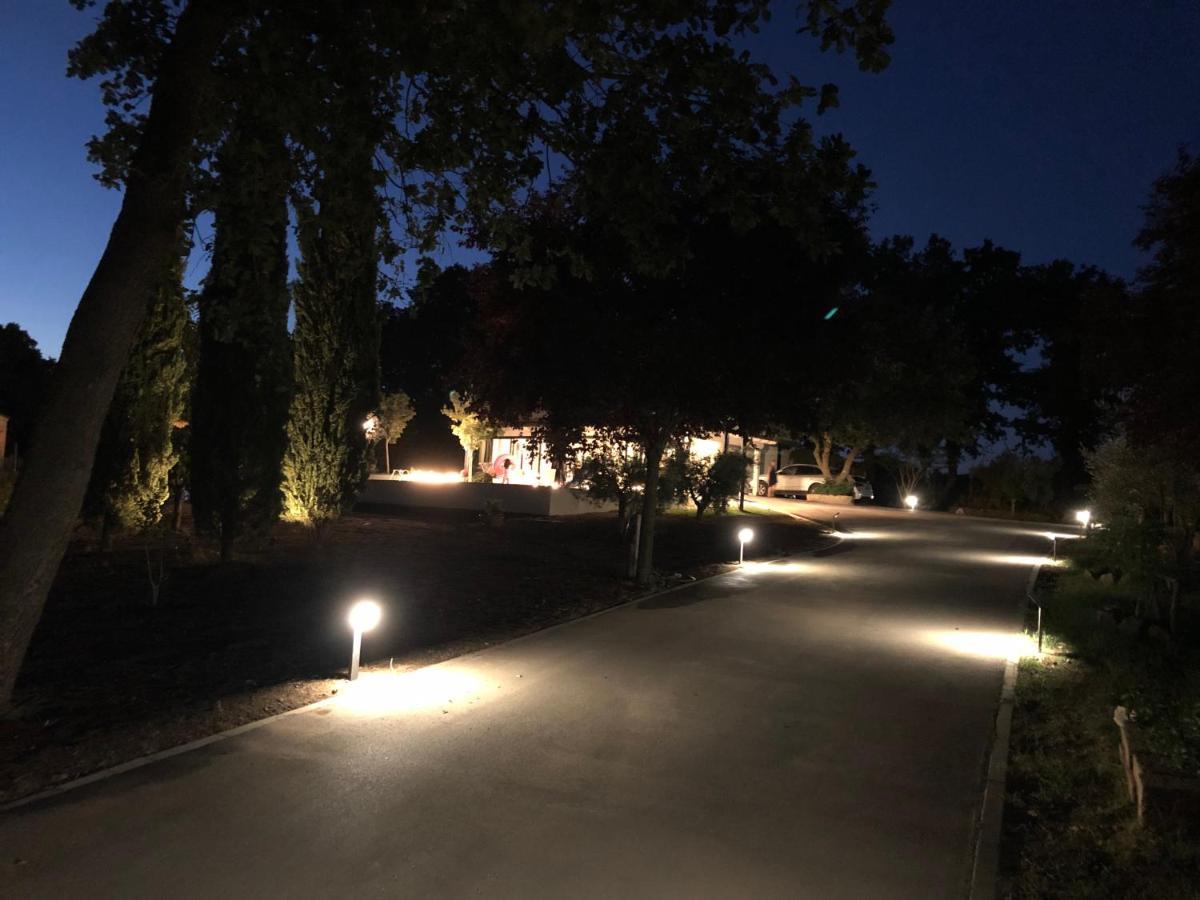 Oltre La Siepe Apartment Nepi Εξωτερικό φωτογραφία