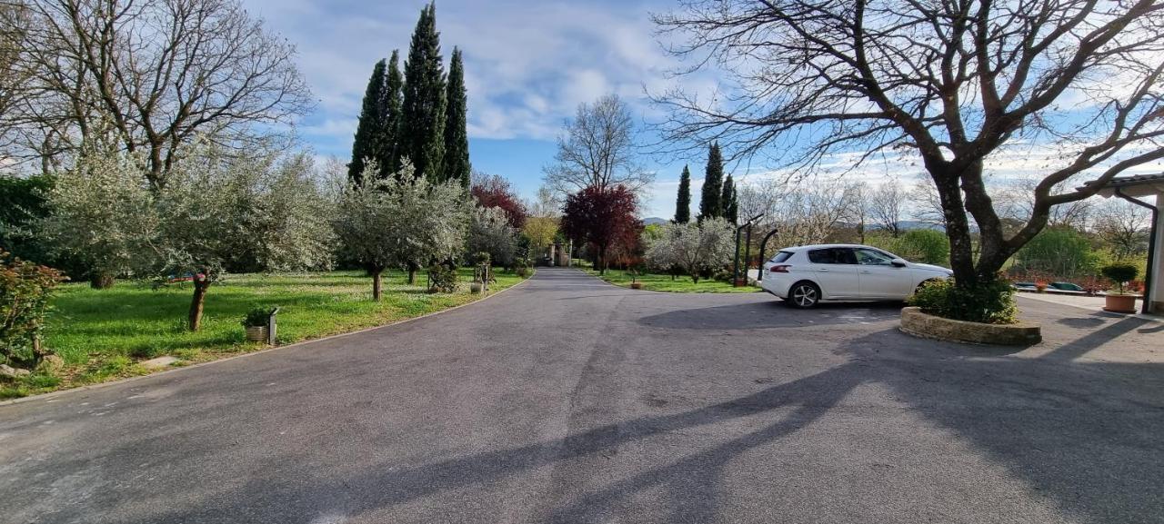 Oltre La Siepe Apartment Nepi Εξωτερικό φωτογραφία