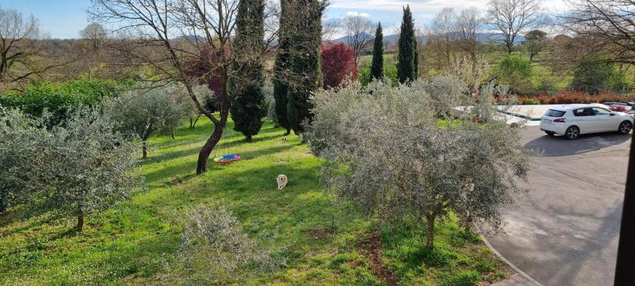 Oltre La Siepe Apartment Nepi Εξωτερικό φωτογραφία