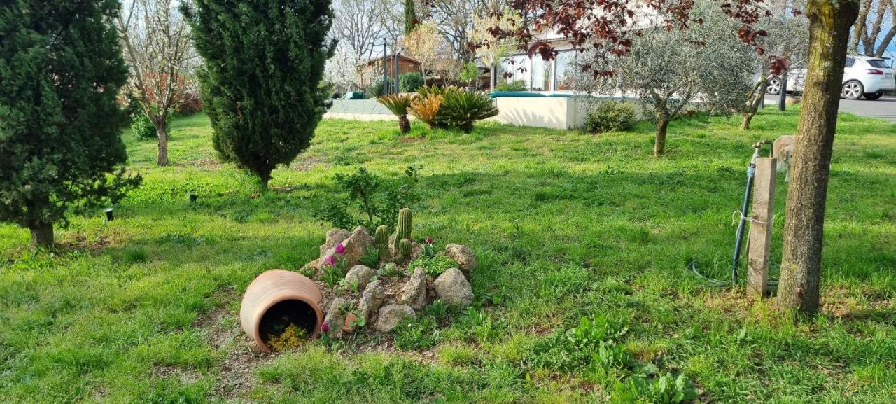 Oltre La Siepe Apartment Nepi Εξωτερικό φωτογραφία